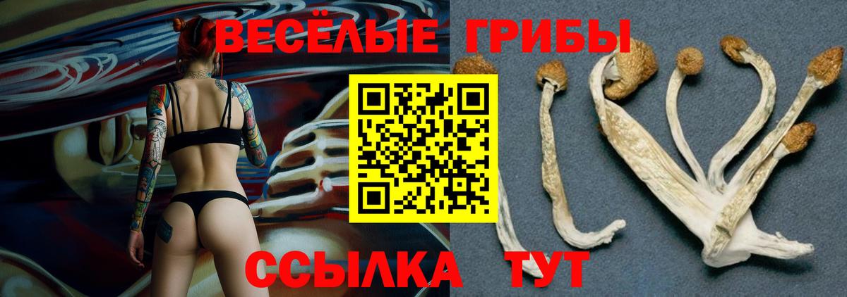 Псилоцибиновые грибы прущие грибы Димитровград
